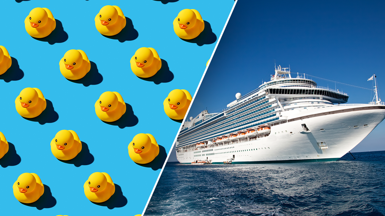 Cruise ship travelers go viral on social media for hiding rubber ducks on board