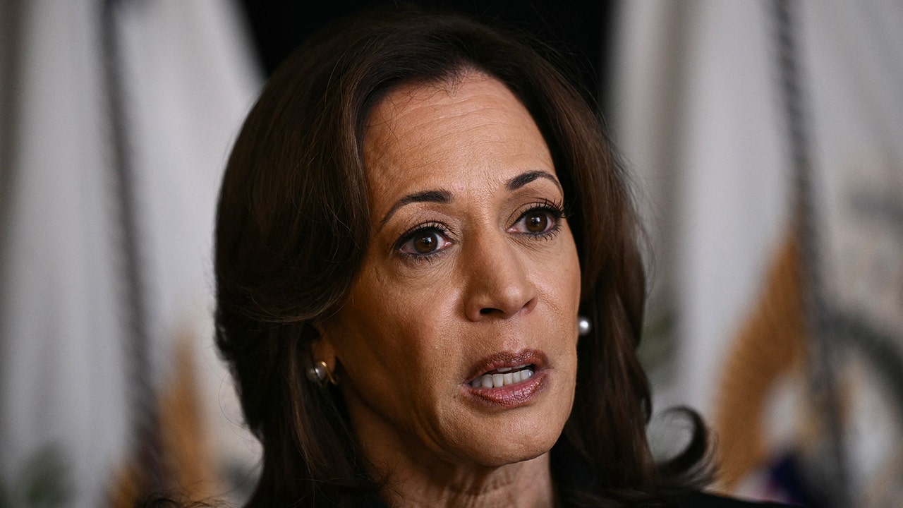 Ineffective planning, lack of connections has Harris, Dems on edge in ‘key’ battleground: report