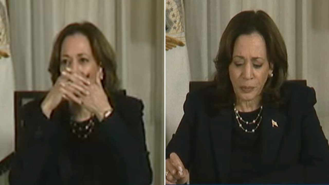 Vice President Harris struggles through Hurricane Milton speech