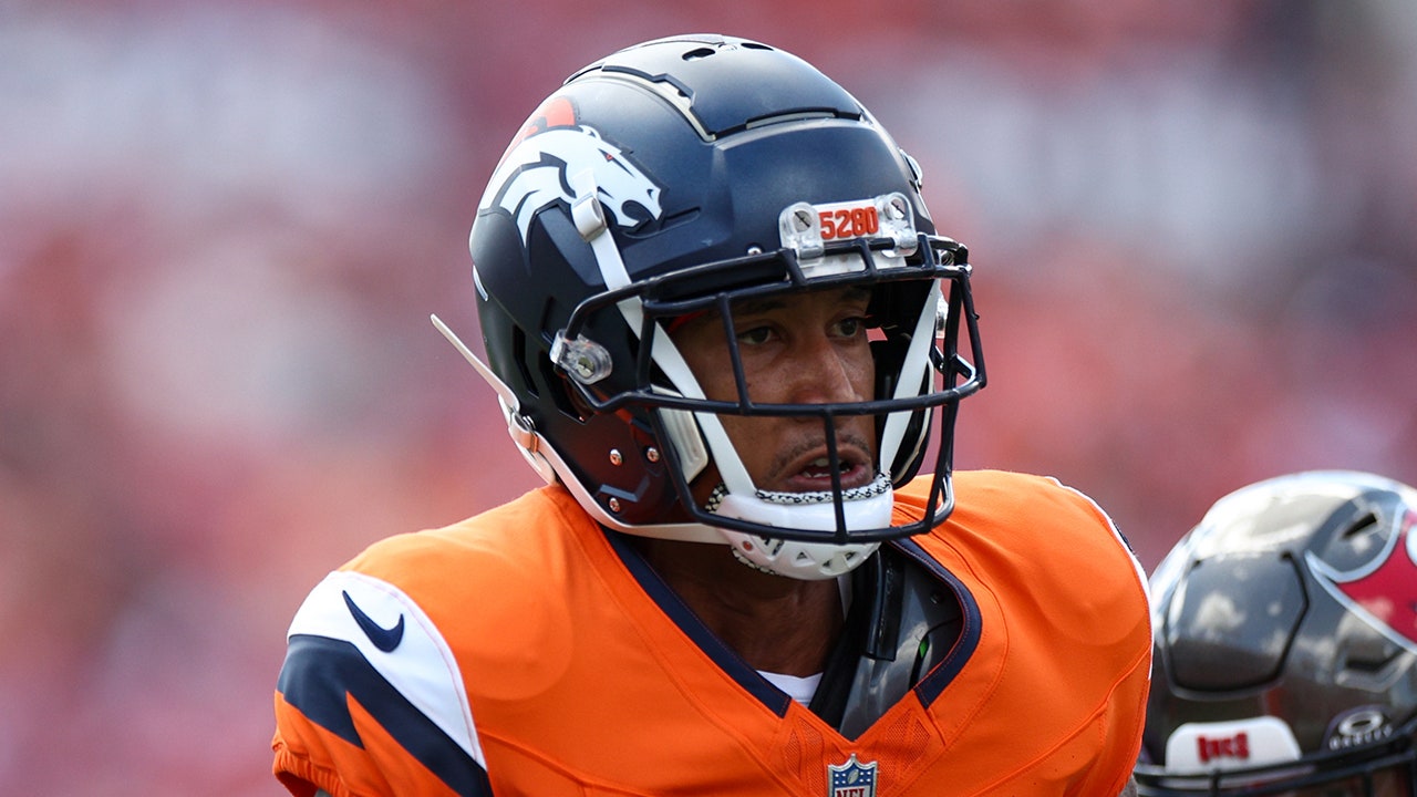 Broncos receiver Josh Reynolds wounded in shooting following strip club visit: report