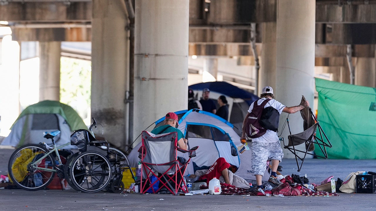 US homelessness up double digits, rising numbers of asylum seekers, affordability crisis among causes