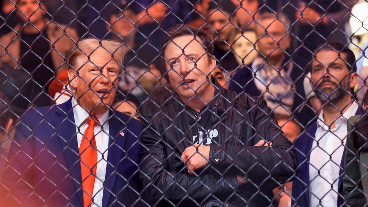 US President-elect Donald Trump, Tesla and SpaceX CEO Elon Musk and Donald Trump Jr. (R) watch a fight during UFC 309 at Madison Square Garden in New York, on November 16, 2024. US President-elect Donald Trump was greeted by chanting fans as he attended the Ultimate Fighting Championship heavyweight bout at New York's Madison Square Garden on November 16. Trump entered the arena shortly before the start of the main card accompanied by UFC chief executive Dana White, who was a prominent backer during his election campaign. Several political allies of Trump were also in attendance including entrepreneurs Elon Musk and Vivek Ramaswamy, who have been asked by Trump to lead efforts to cut government inefficiency. (Photo by Kena Betancur / AFP) (Photo by KENA BETANCUR/AFP via Getty Images) (KENA BETANCUR/AFP via Getty Images)