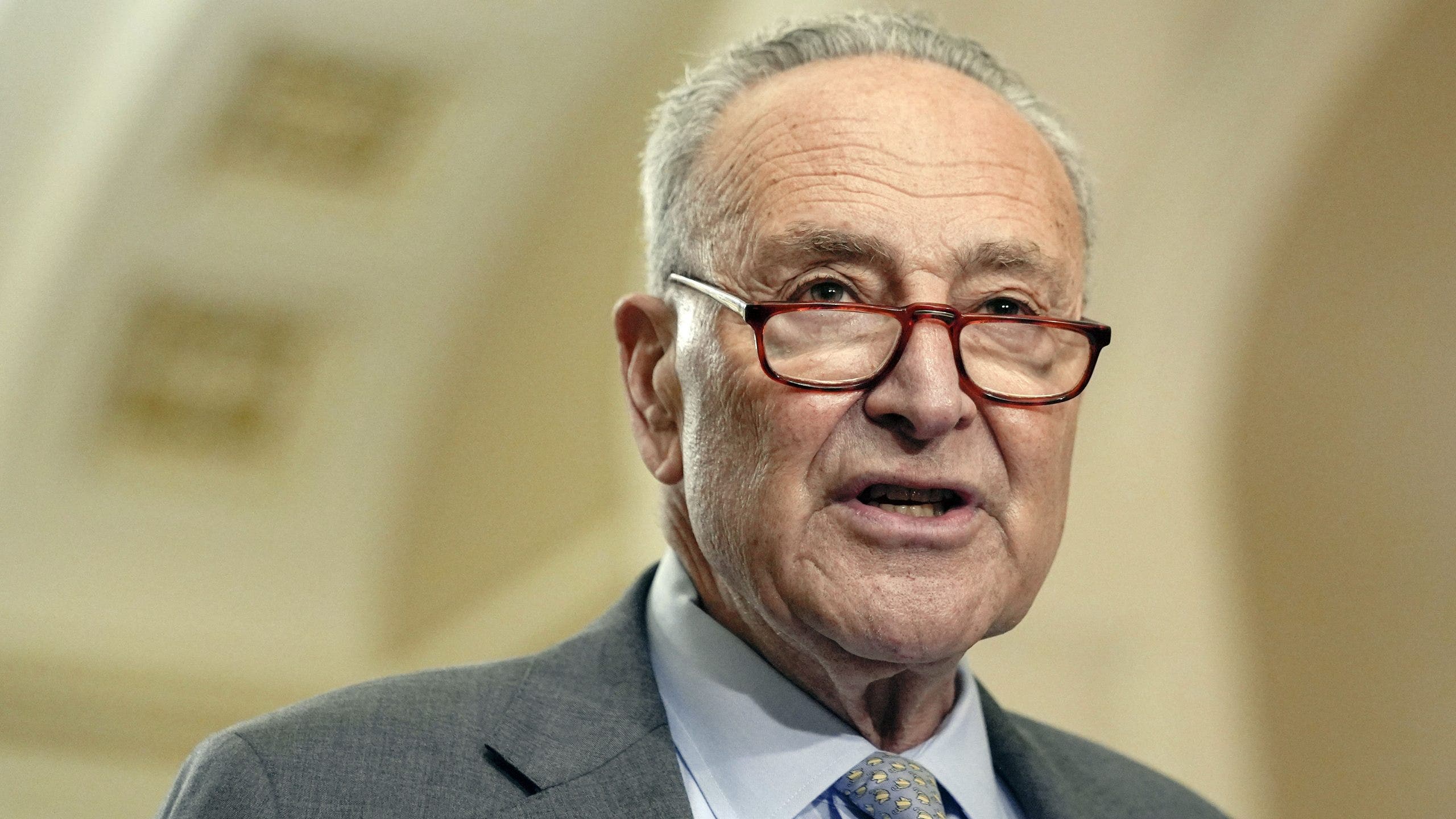 Chuck Schumer votes to keep government open: 'For Donald Trump, a shutdown would be a gift'