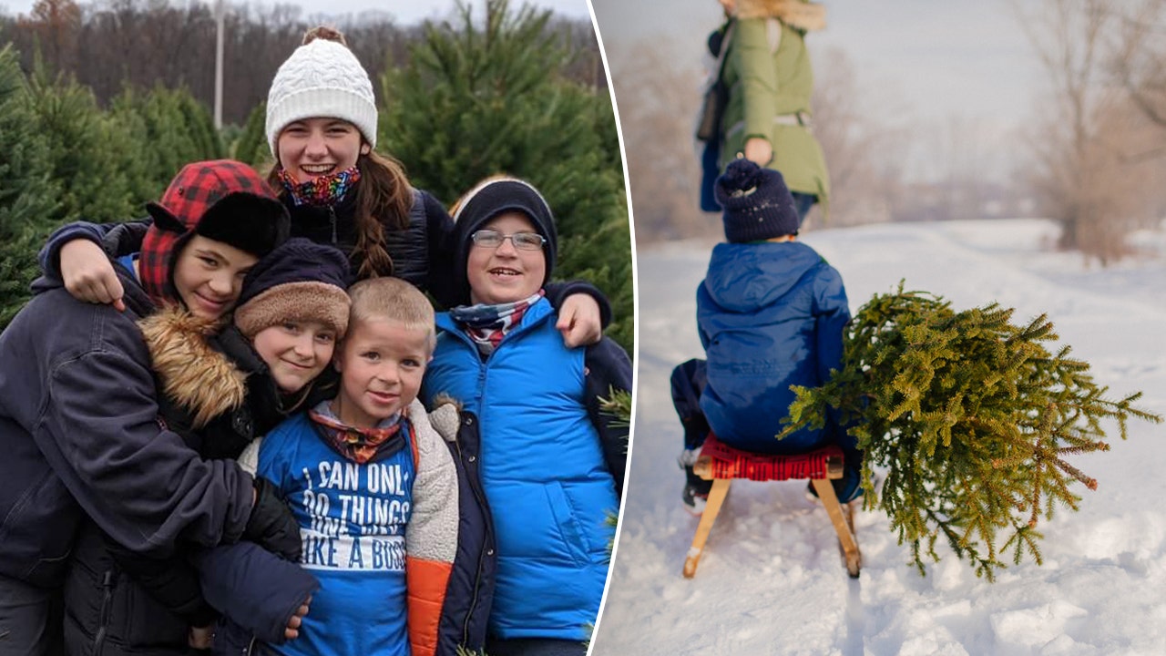 Americans travel to family-owned Christmas tree farms to pick the perfect pine: ‘People love it’