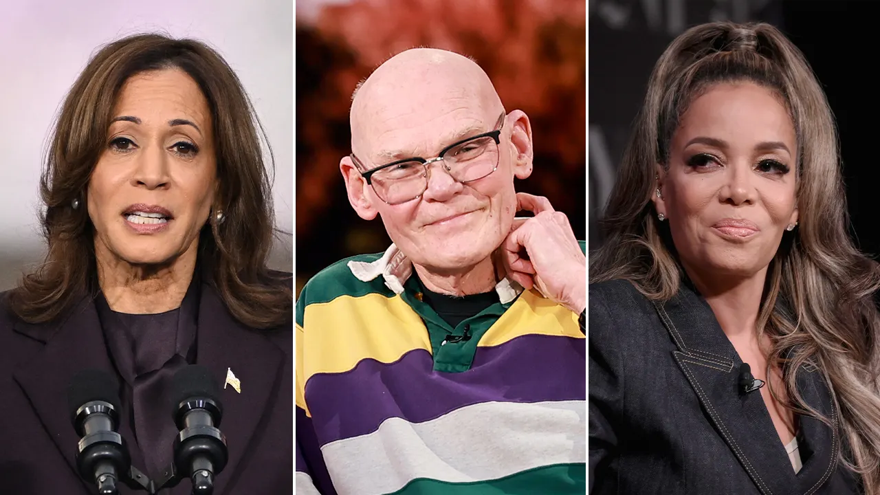 James Carville says Kamala Harris' failed campaign could be reduced to Sunny Hostin's question on 'The View'