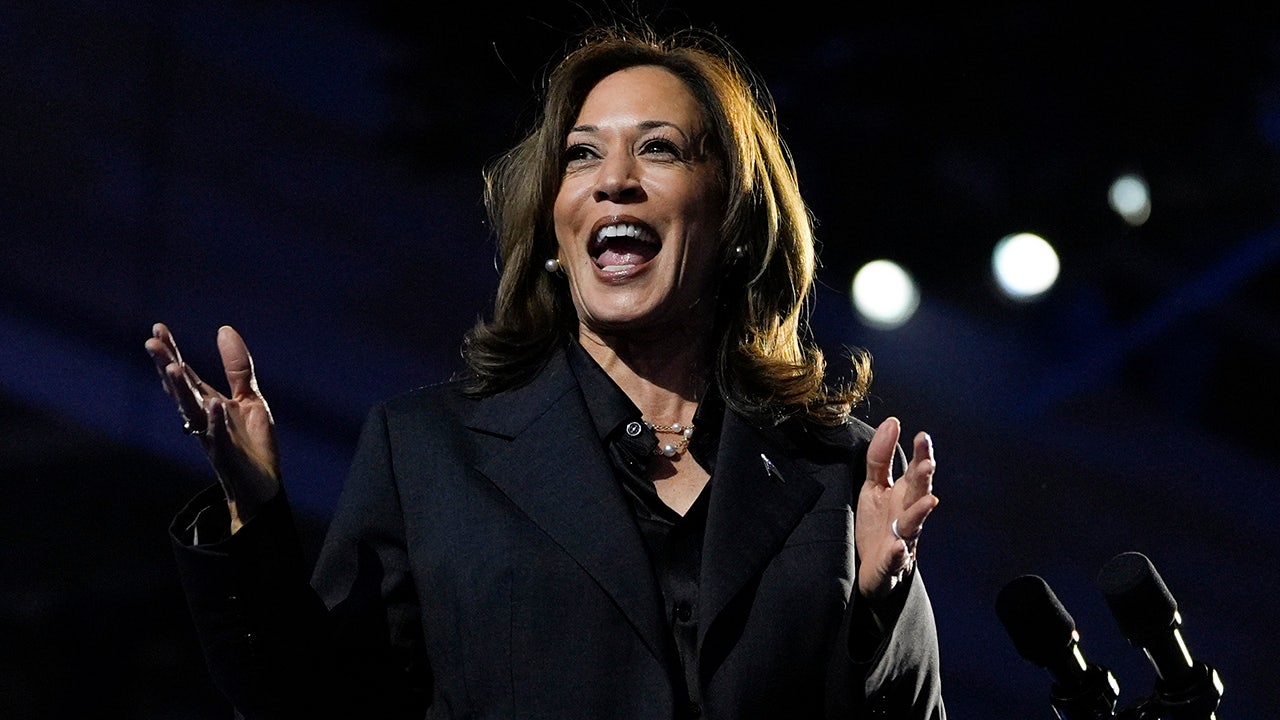 Democratic presidential nominee Vice President Kamala Harris speaks during a campaign rally at the Wisconsin State Fair Expo in West Allis, Wis., Friday, Nov. 1, 2024. (AP Photo/Jacquelyn Martin)