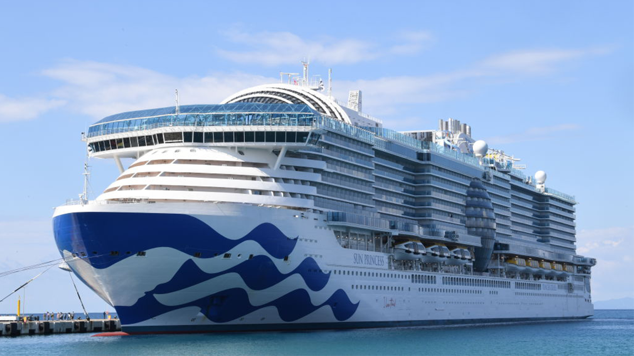 Search Intensifies for 72-Year-Old American Man Who Likely Fell Overboard on Princess Cruise