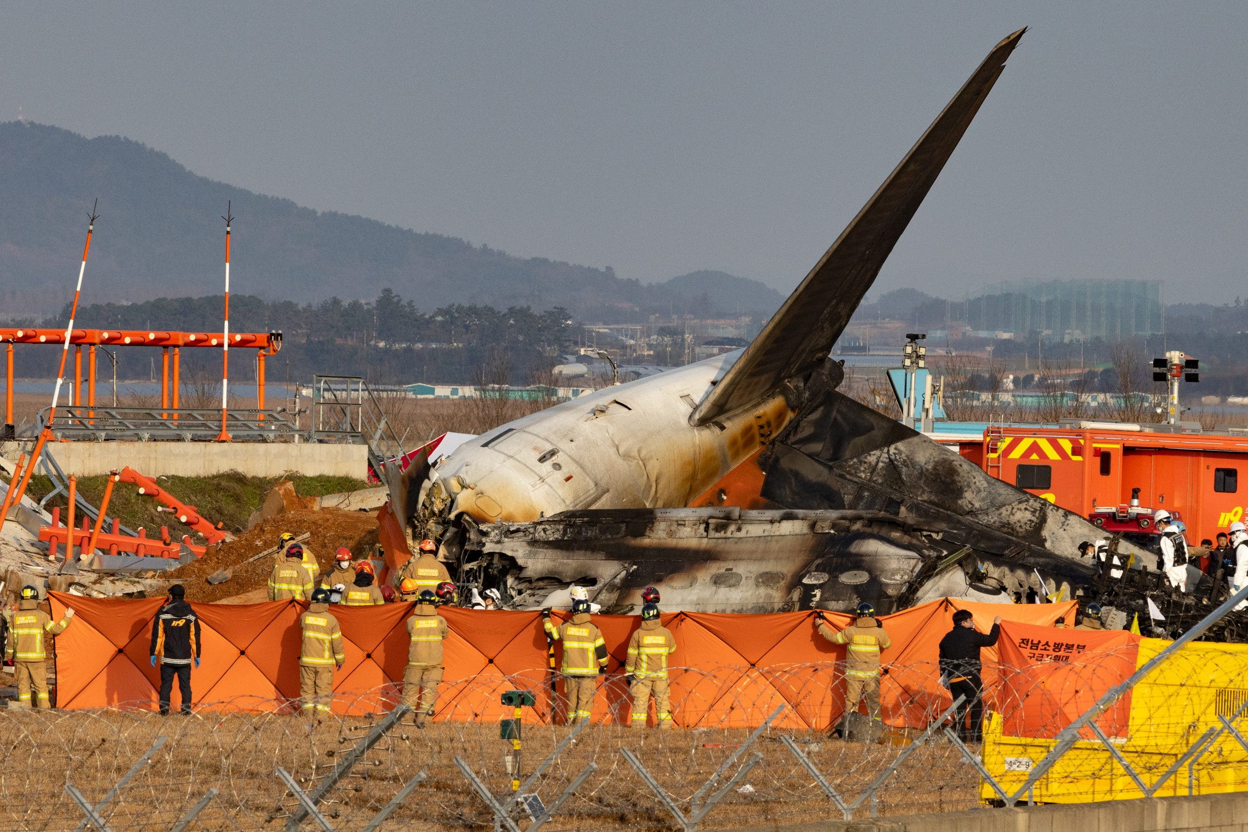 Aviation expert casts doubt on bird strike theory in deadly South Korean plane crash: 'Doesn't make sense'