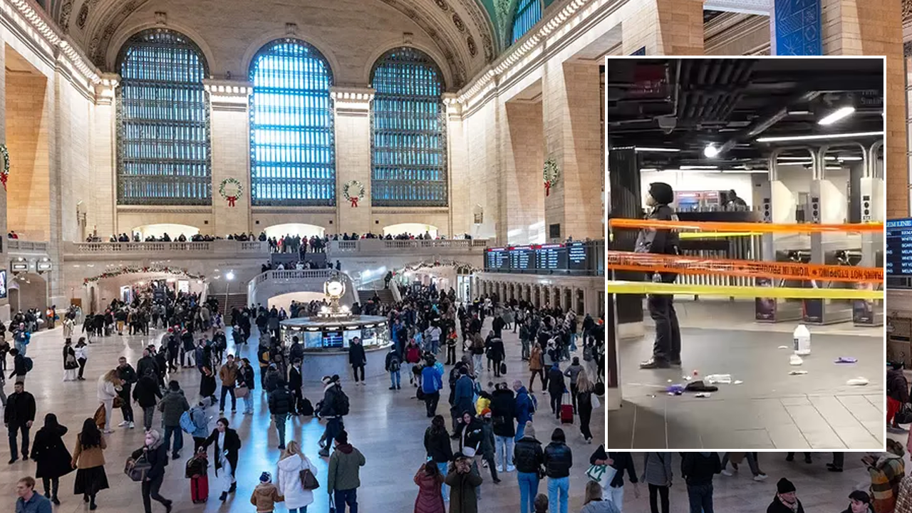 Grand Central Christmas Eve Stabbing: Man Arrested After Subway Attack