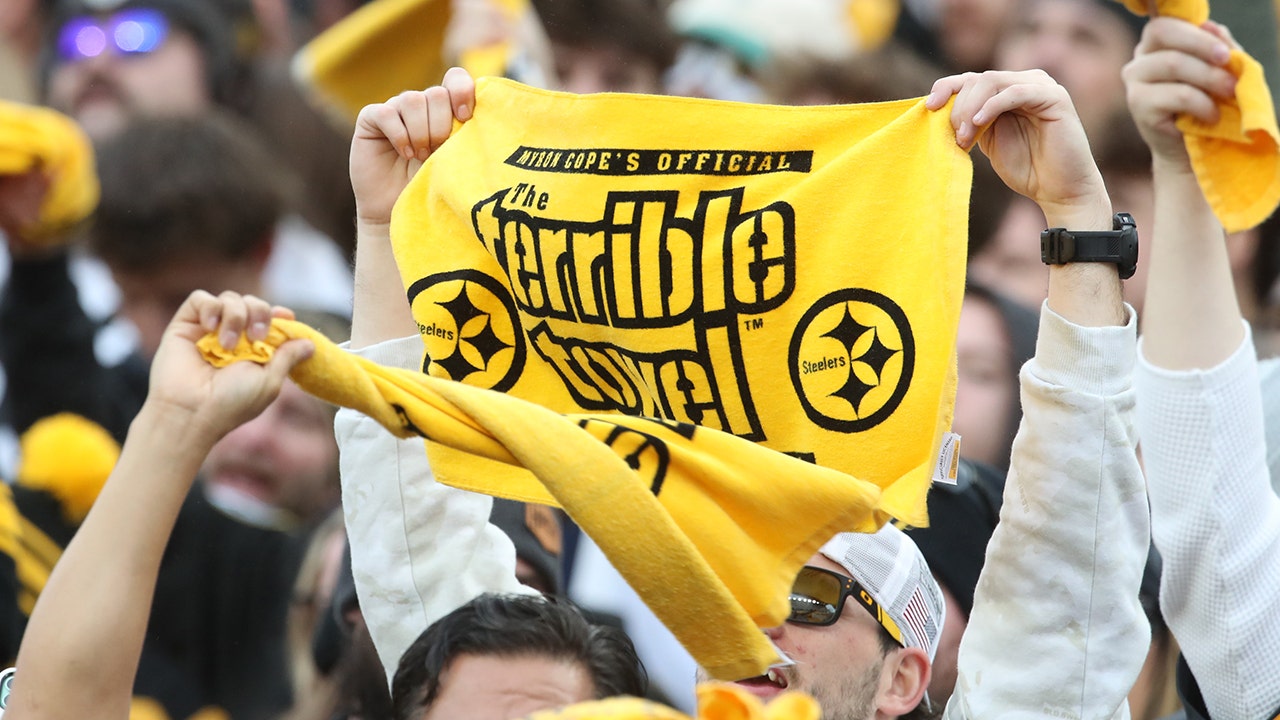 Carly Teller Criticizes Steelers Fans' Behavior