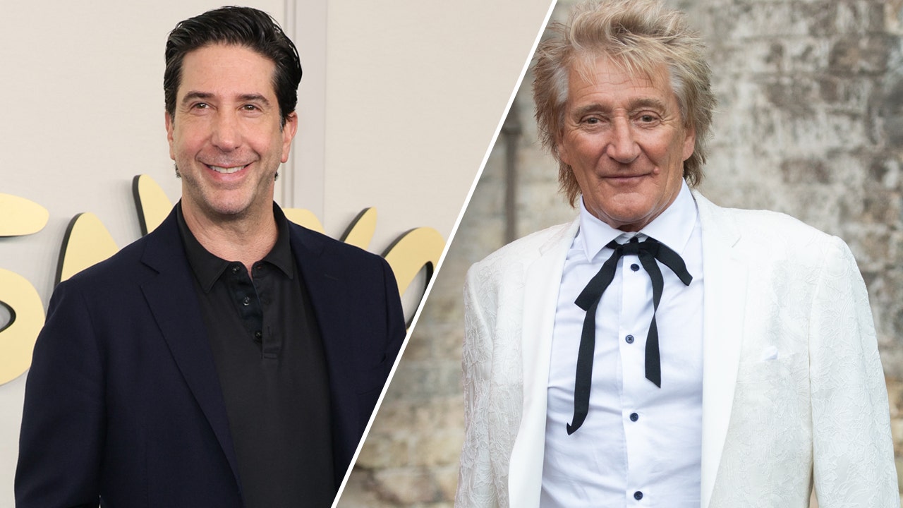 David Schwimmer Shocks Fans by Serving Rod Stewart Divorce Papers!