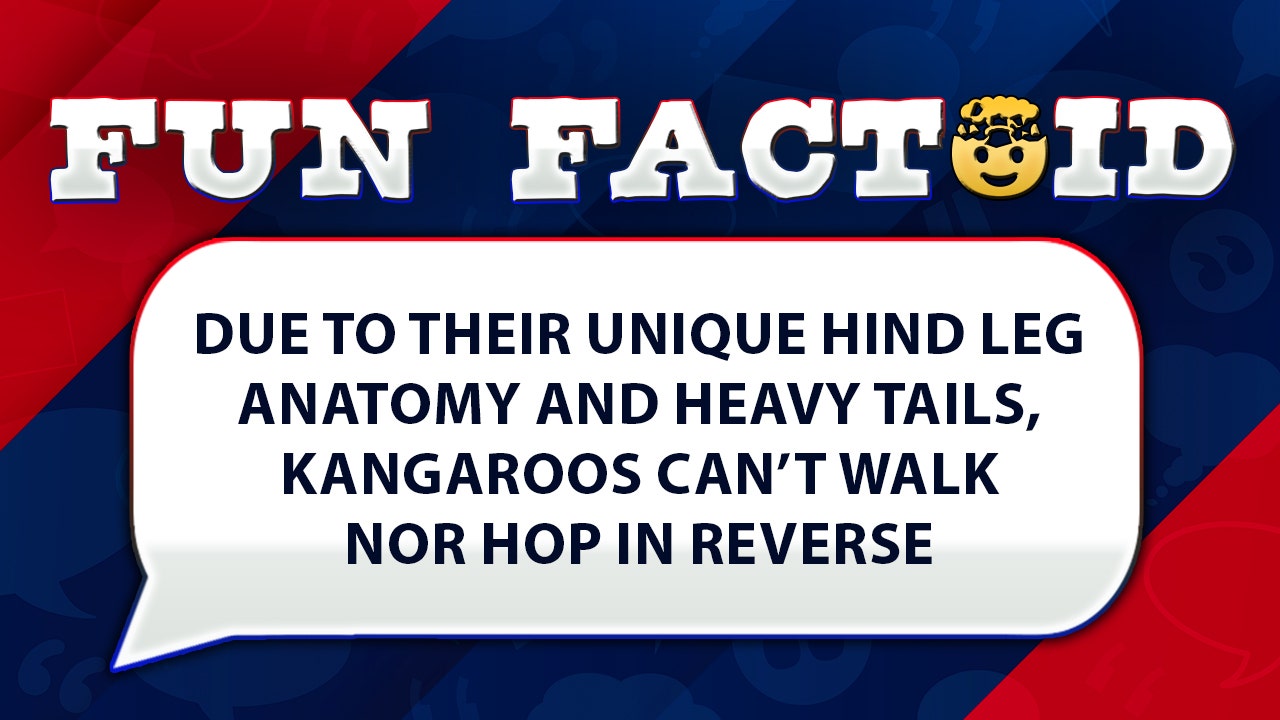 Fun Facts: Kangaroos cannot hop backwards