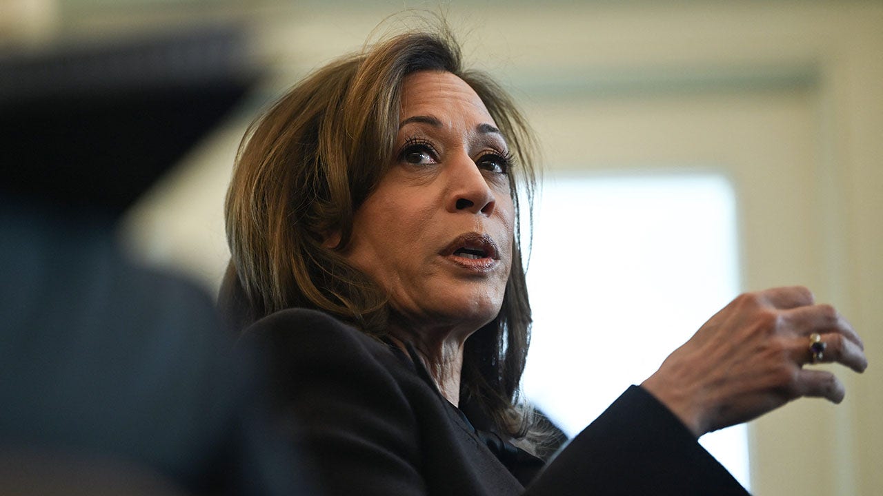 LAPD responds to Kamala Harris' California home in Palisades Fire evacuation zone, 2 men detained: reports