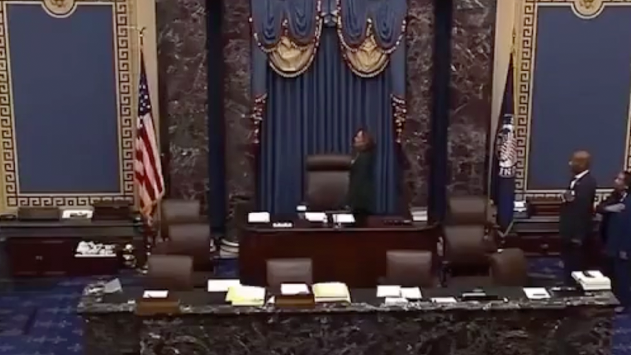 VP Harris mocked for flubbing opening line of Pledge of Allegiance: 'What an embarrassment'