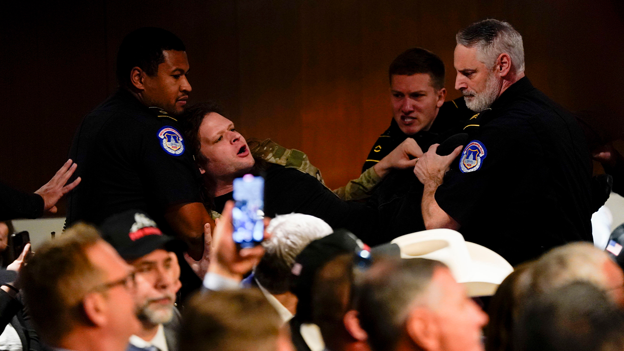 US Capitol Police officers remove a demonstrator during a Senate Armed Services Committee confirmation hearing in Washington, DC, US, on Tuesday, Jan. 14, 2025. Photographer: Kent Nishimura/Bloomberg via Getty Images (Getty Images)