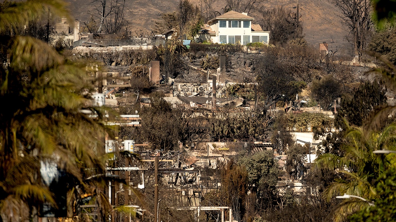 Los Angeles housebreaking suspect disguised as firefighter, as looting arrests attain about 29 folks: sheriff