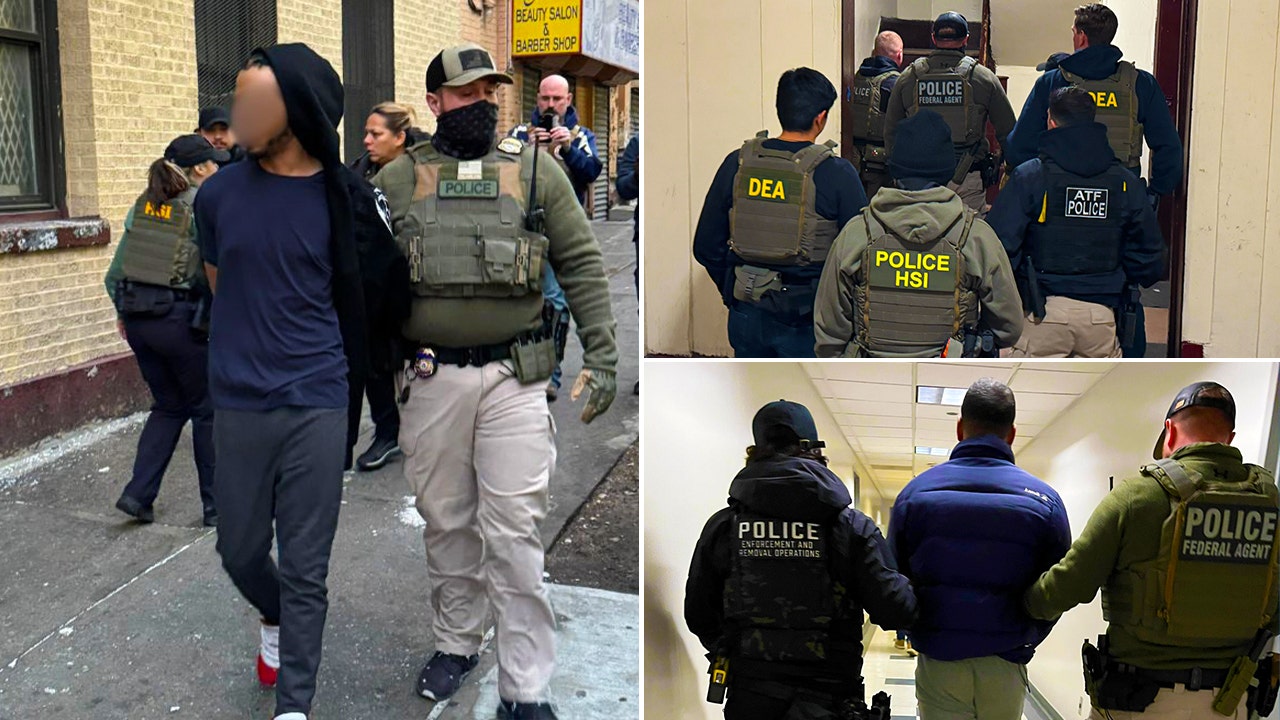 ICE crackdown sees 7,400 illegal migrants arrested in 9 days