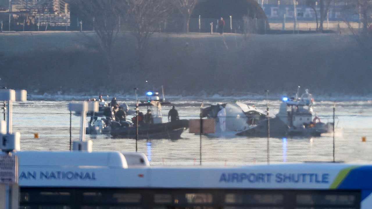 Emergency response units search the crash site of the American Airlines plane on the Potomac River after the plane crashed last night on approach to Reagan National Airport on January 30, 2025 in Arlington, Virginia. The American Airlines flight from Wichita, Kansas collided in midair with a military helicopter while approaching Ronald Reagan National Airport. According to reports there were no survivors among the 67 people on board both aircraft. (Tasos Katopodis/Getty Images)