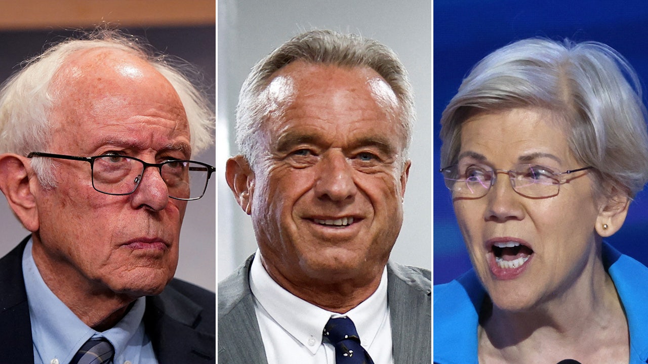 RFK Jr. to meet with slew of Dems including Elizabeth Warren, Bernie Sanders