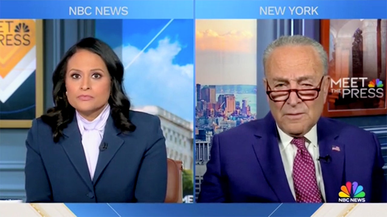 Chuck Schumer confronted with old clip of himself declaring Biden’s decline ‘right-wing propaganda’