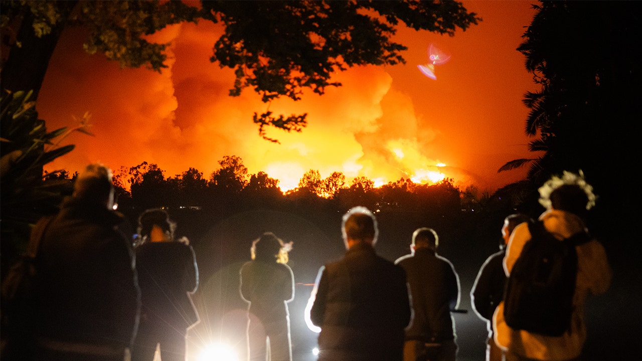 Los Angeles wildfires: City’s infamous red tape preventing private security from helping homeowners, firms say