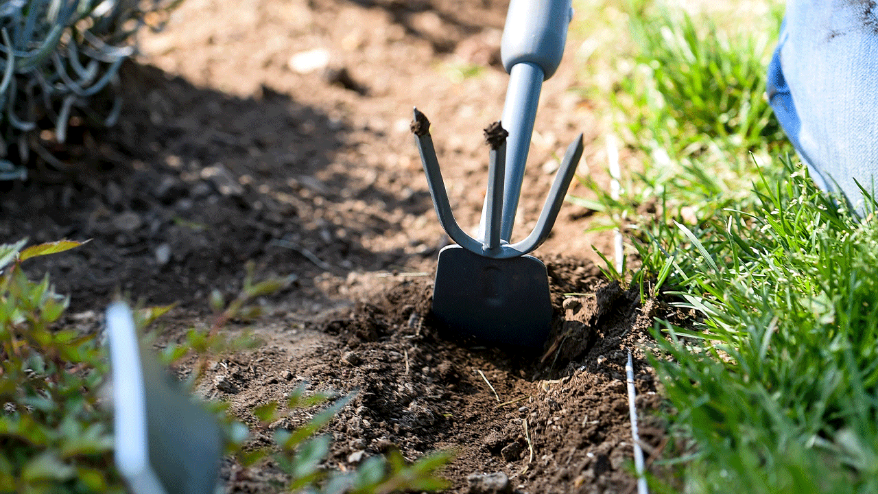 Un ancla de jardín utilizado