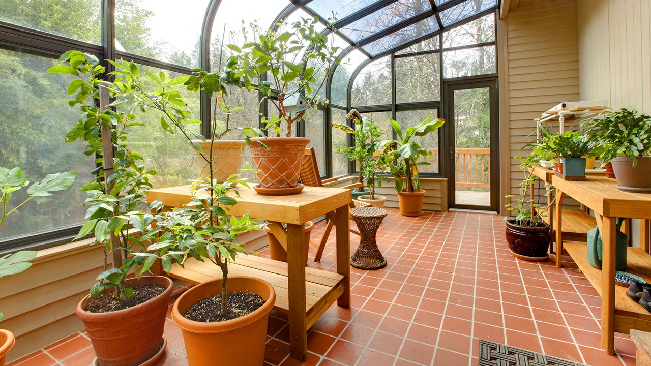 Turn your sunroom into a greenhouse with these finds