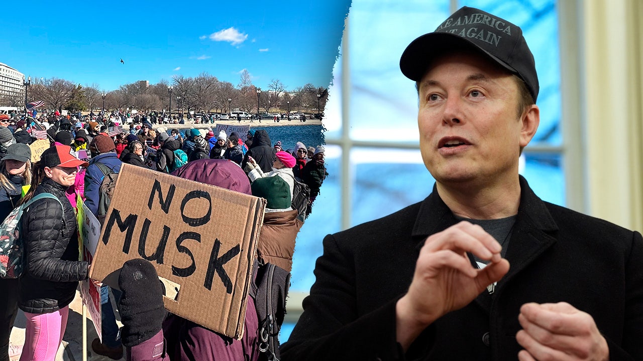 Vocal opposition to Elon Musk's DOGE cuts is a 'terrible' strategy, warns ex-Democrat advisor