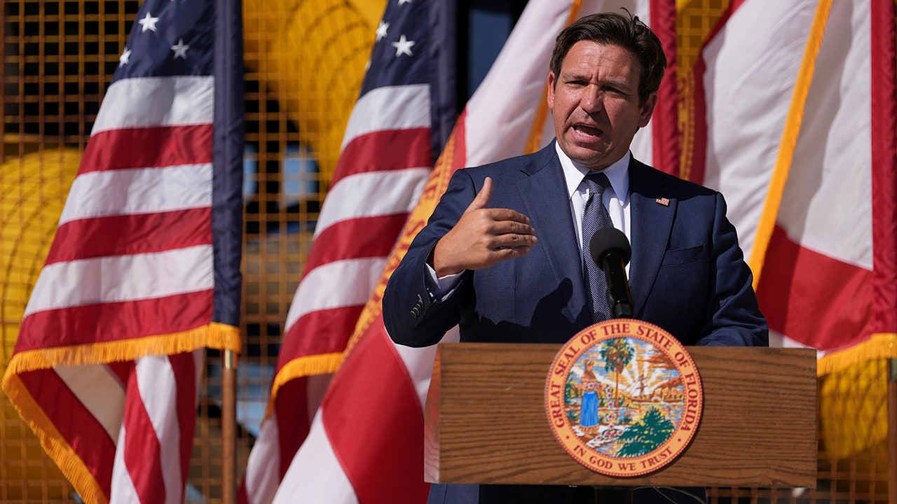 DeSantis announces Florida ‘DOGE task force’