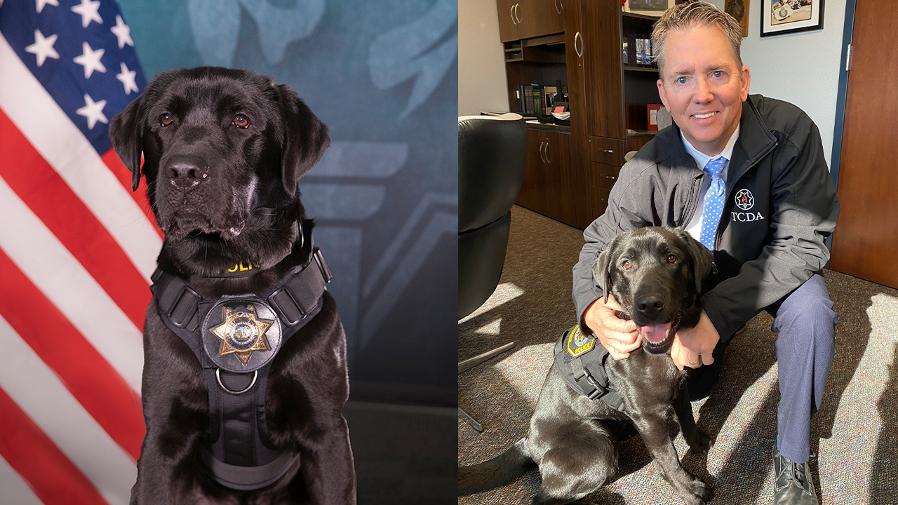 California DA uses special K-9 to help track down online predators