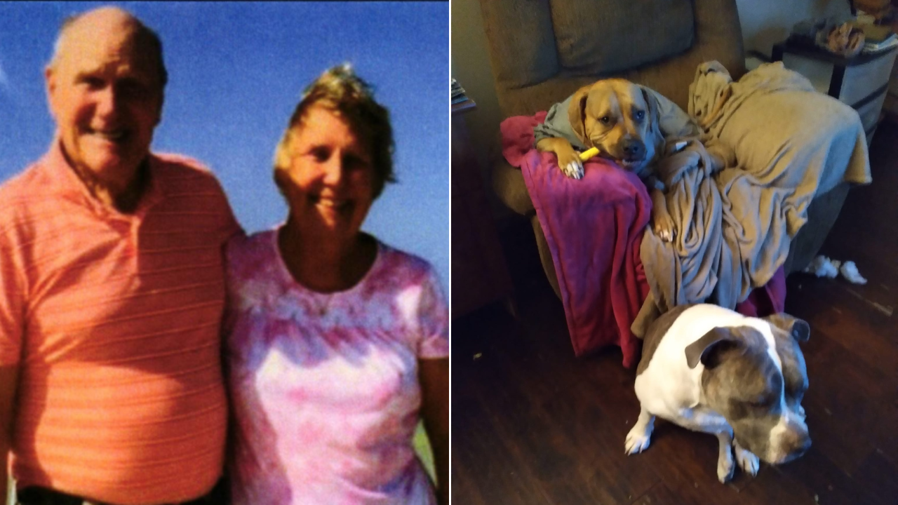 Ohio grandmother’s family files lawsuit after fatal pit bull attack