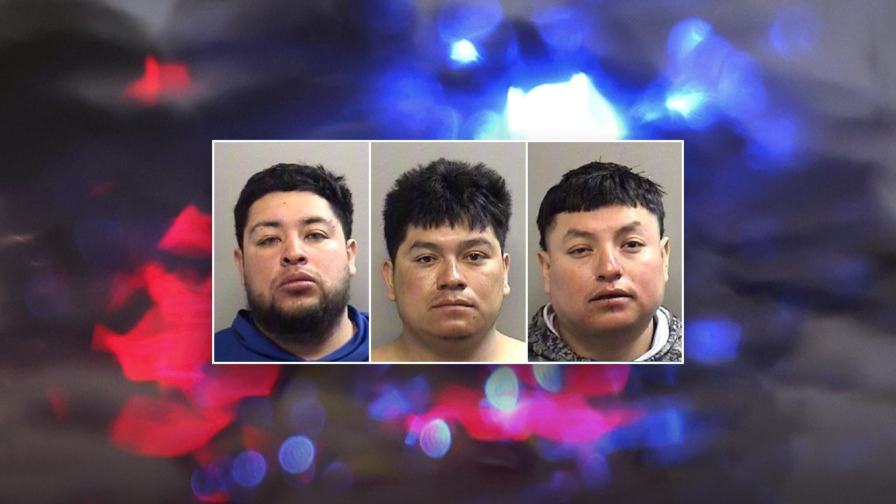 Three illegal immigrants charged after fiery crash that left Texas one man dead