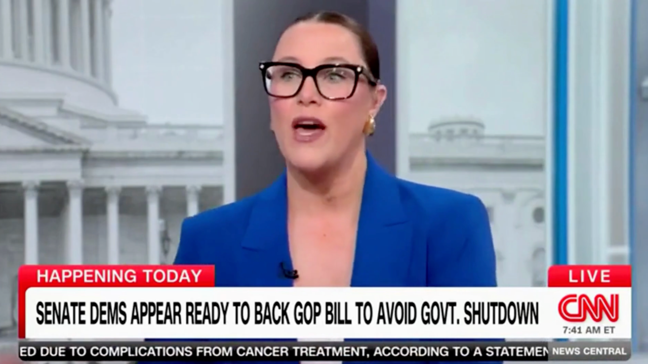 CNN commentator says ‘Democrats are a mess,’ need to ‘get it together’ to fight Trump