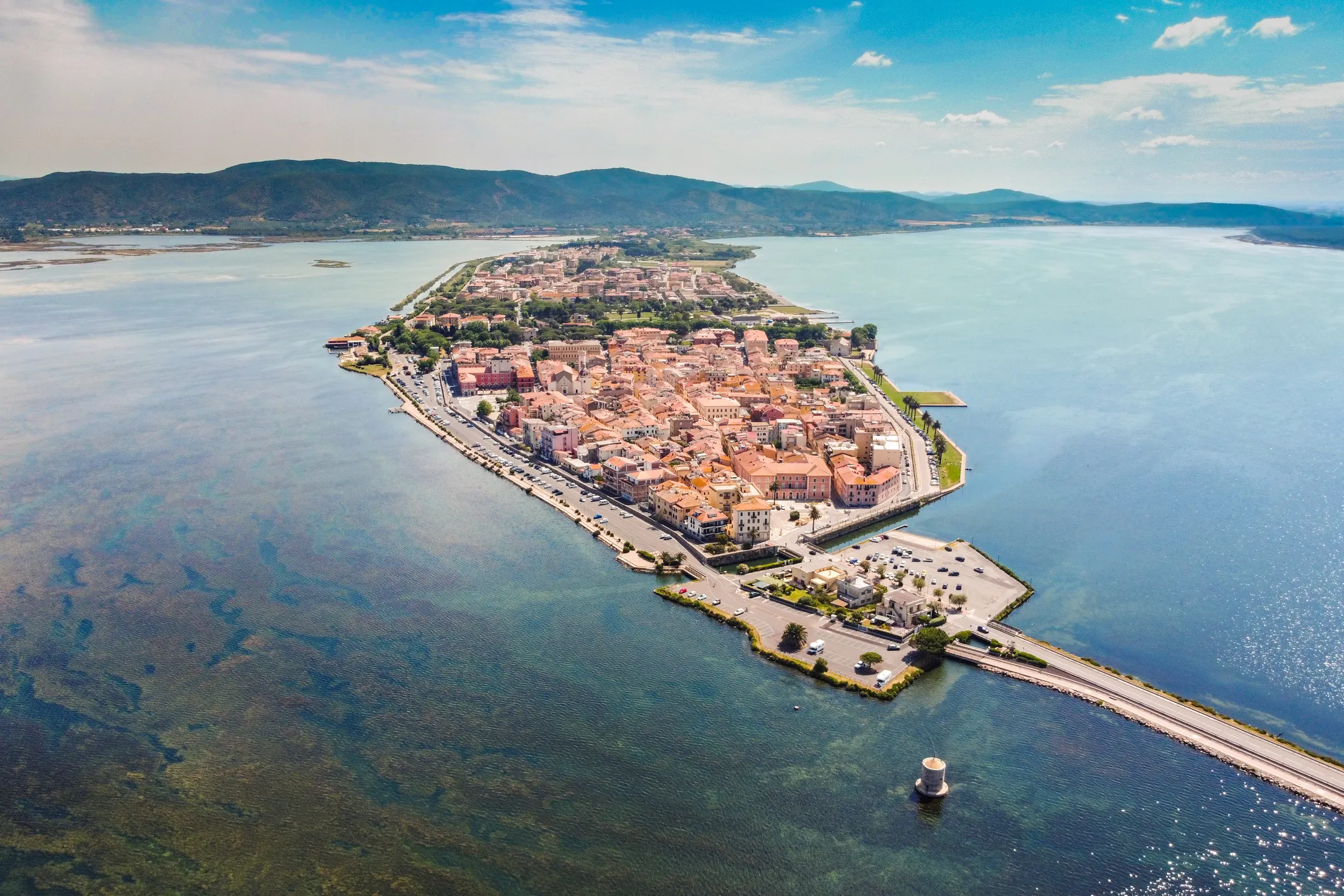 Insects swarming popular beach destination in Italy prompts emergency measures