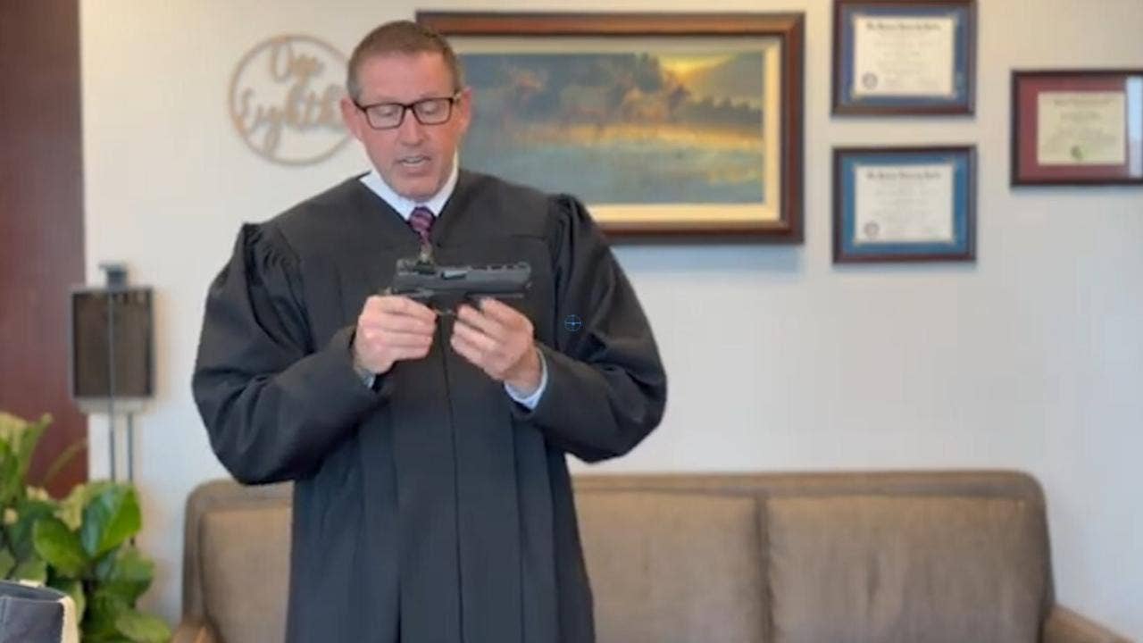 WATCH: Trump-appointed judge chides colleagues' ignorance on guns in unique video dissent