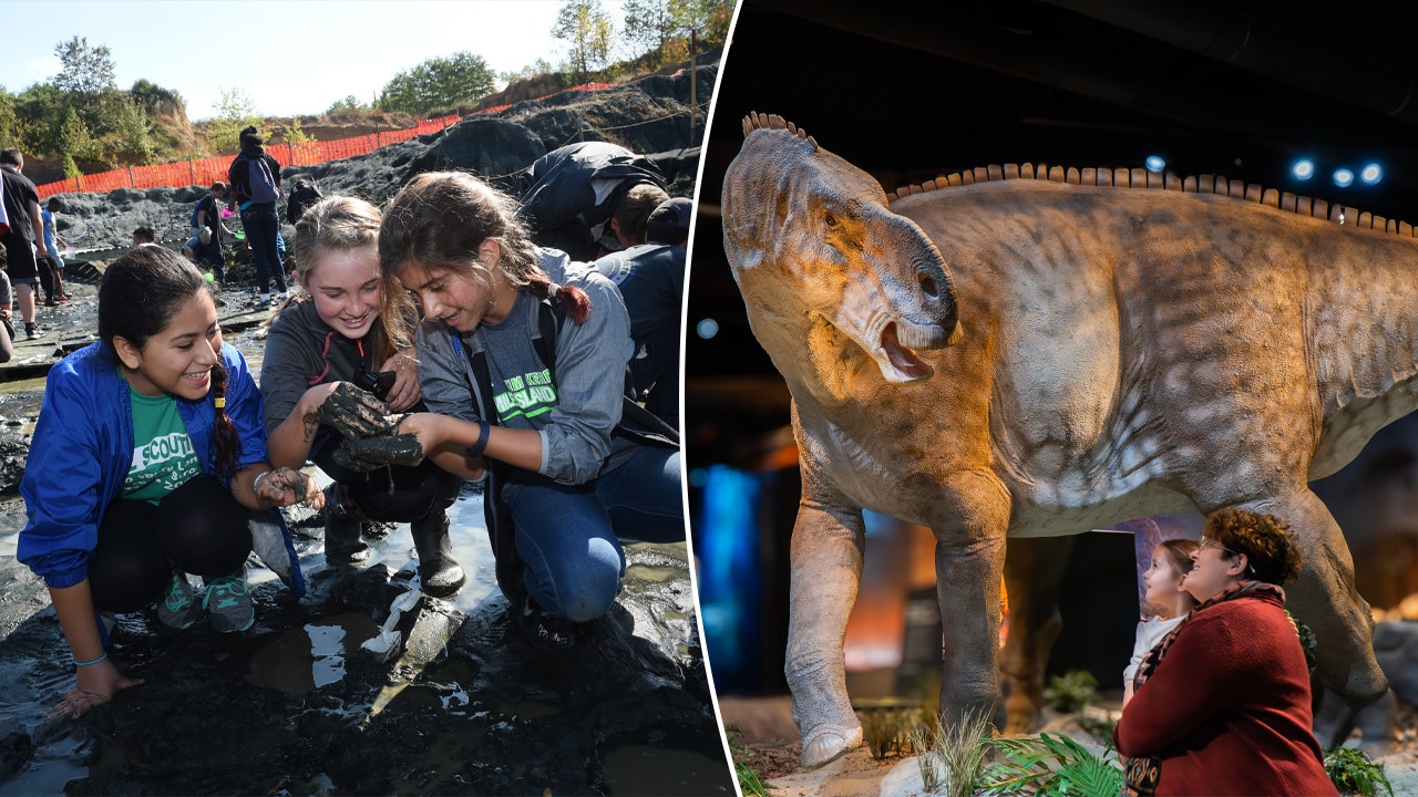 Unearth Dinosaur Fossils in New Jersey: Discover More Hidden Treasure Hunts Across the U.S.!