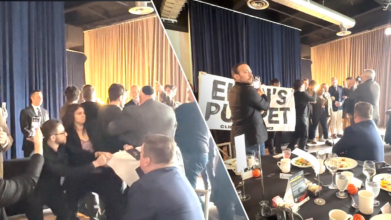 GOP rep sounds alarm over Dems 'inciting far-left activists' after private luncheon protest turns physical