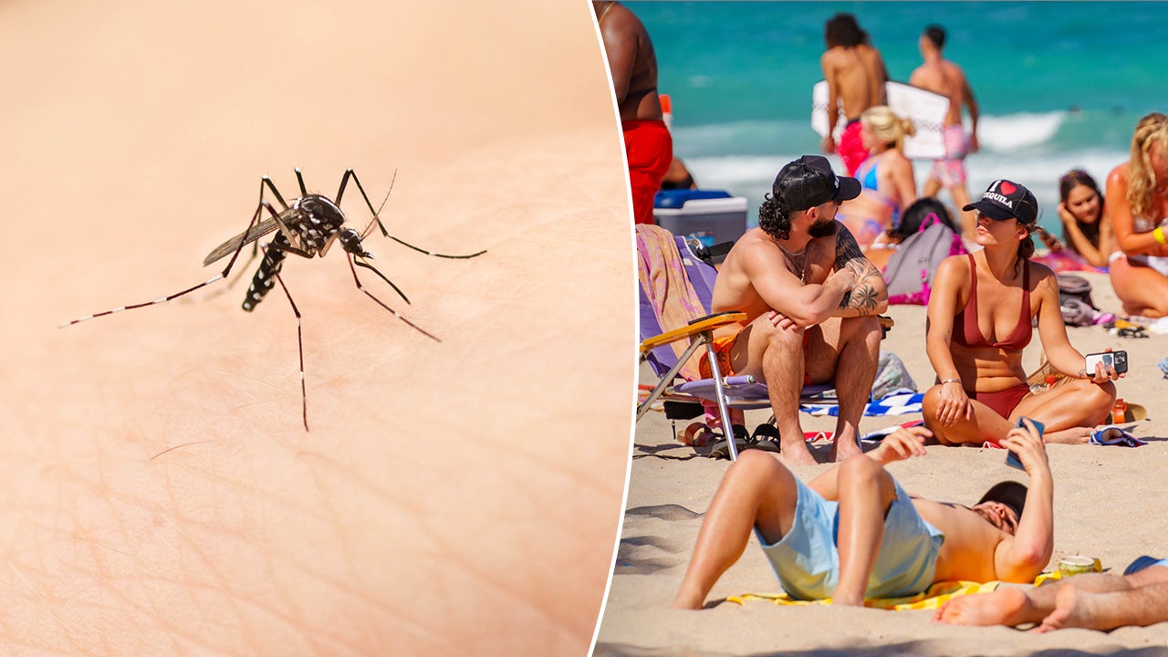 Dengue fever cases rising in popular spring break locations, CDC alerts