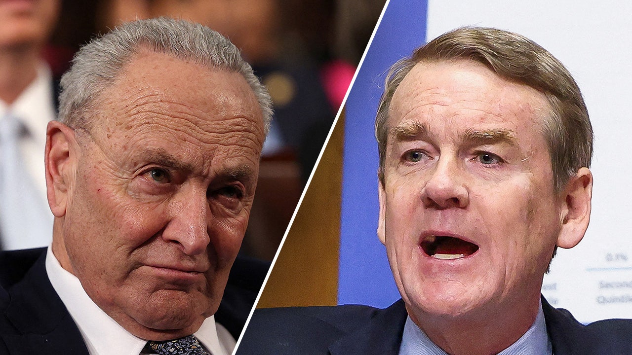 Dem senator on Schumer future: 'Important' to know 'when it's time to go'