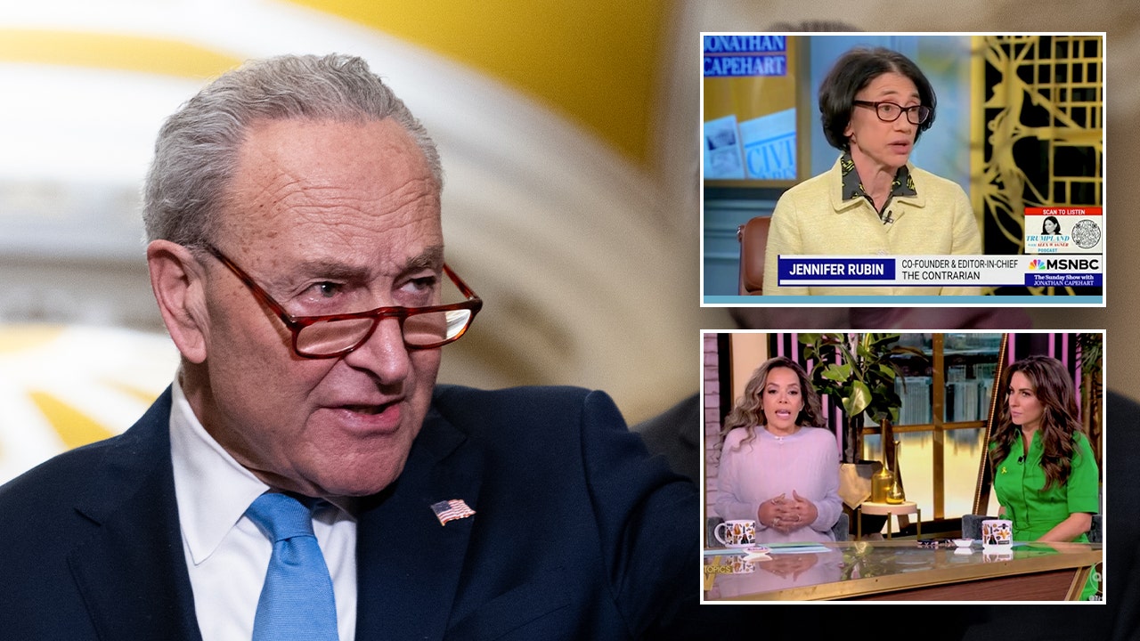 Liberal media commentators, Democrats pile on Chuck Schumer for siding with GOP