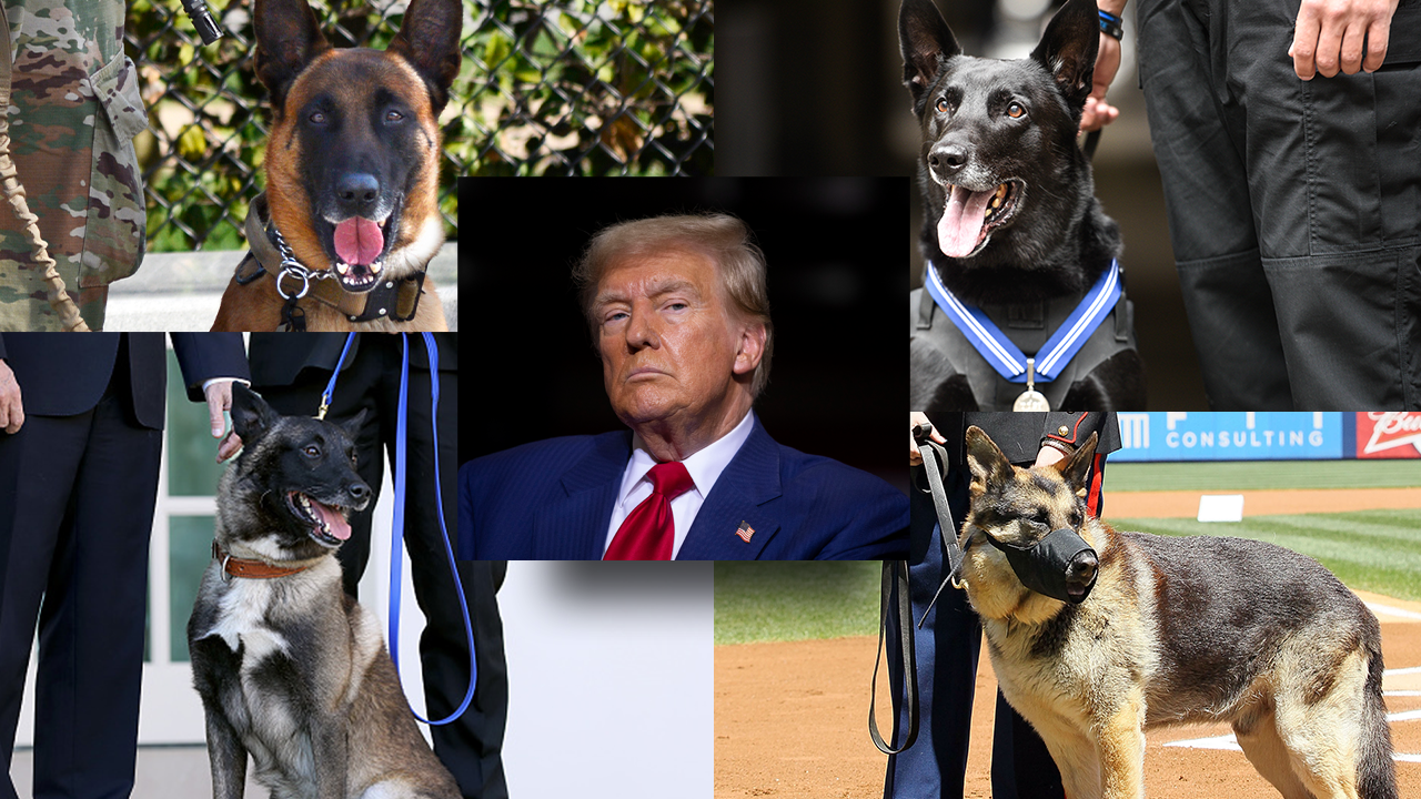 Trump Honors Heroic K-9 Veterans for Service and Courage