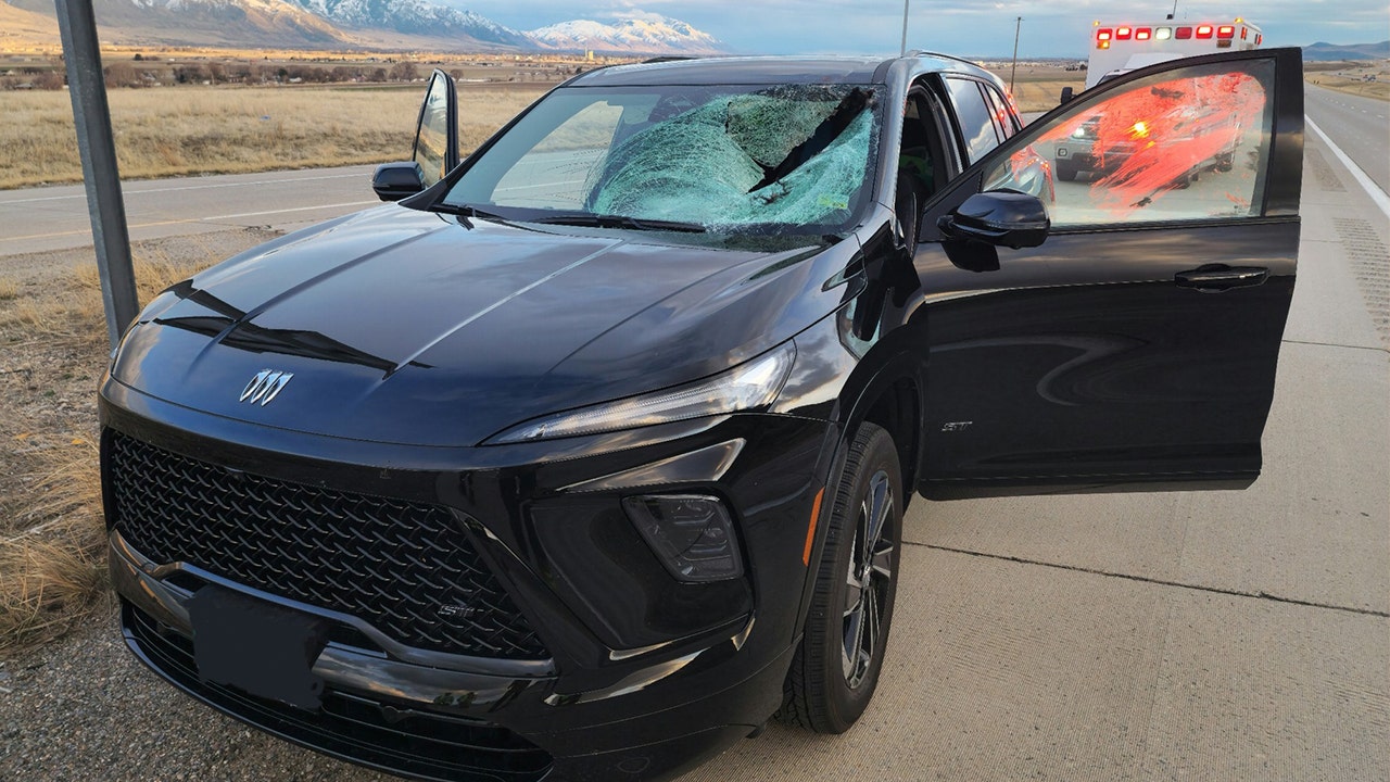 Utah driver injured after smashing into turkey on the interstate, sending it through the windshield