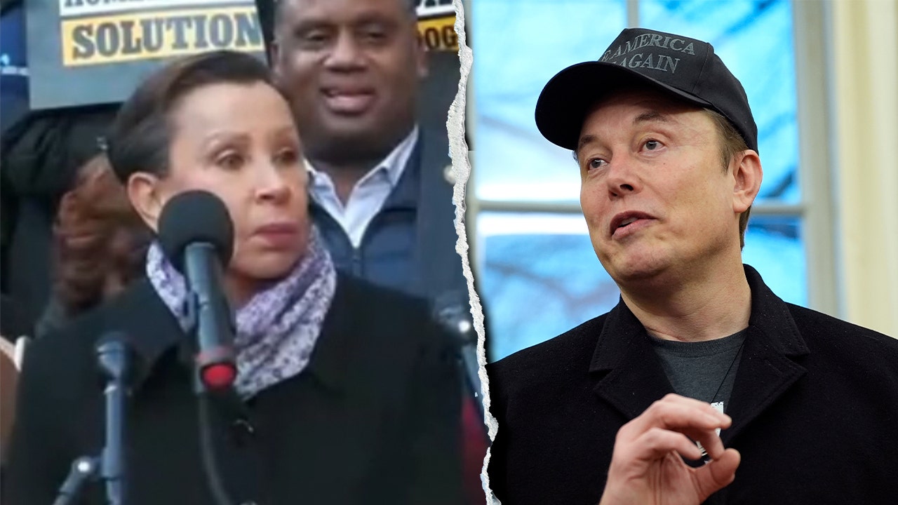 House Dem blasted for 'unhinged' Elon Musk rant telling him to 'Go back to South Africa'