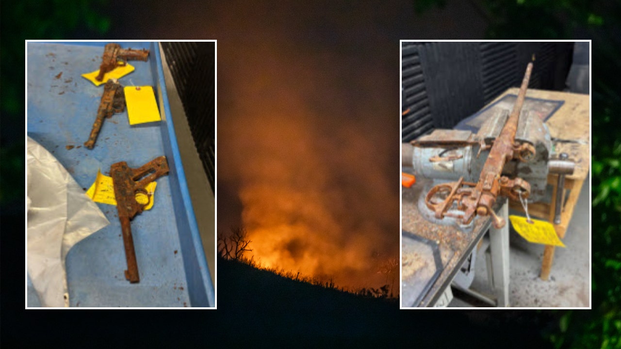 Los Angeles police hope to reunite firearm owners with guns after devastating Palisades Fire