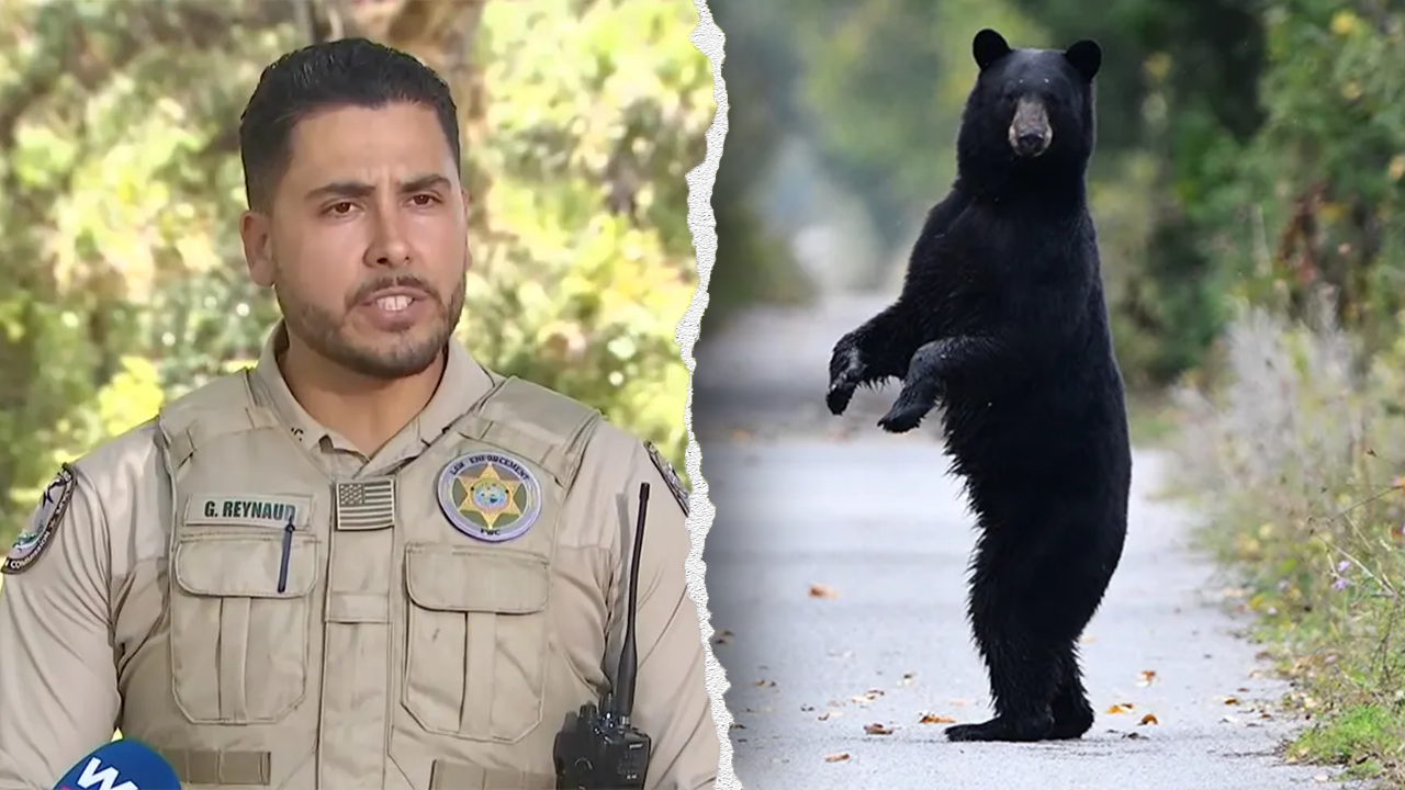 Florida man, 89, and his dog mauled to death by black bear in state's first fatal attack