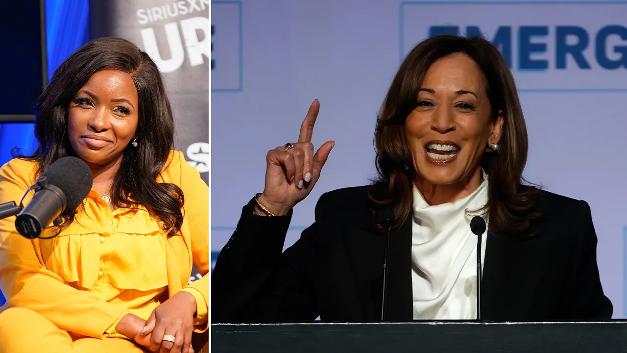 Jasmine Crockett points to Kamala Harris' role as prosecutor as reason she had trouble with Black men