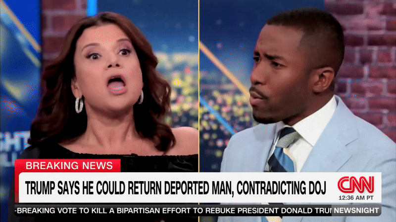 CNN panel descends into chaos after discussion on immigration gets heated