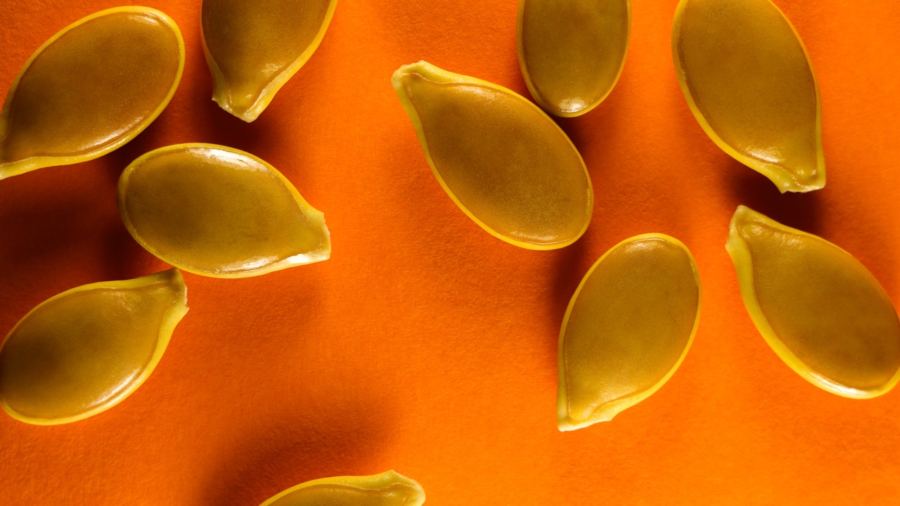 Jumbo pumpkin seeds from Canada could be contaminated with salmonella Jumbo pumpkin seeds from Canada could be contaminated with salmonella