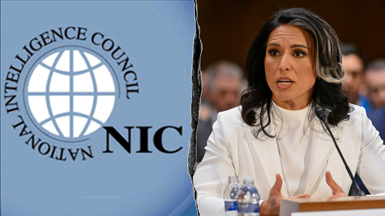 DNI Tulsi Gabbard fires heads of National Intelligence Council to root out ‘politicization of intel’