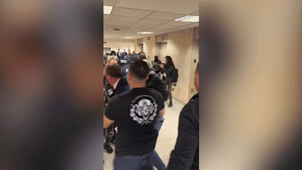 NYC mayoral candidate Brad Lander arrested by DHS agents following alleged assault on federal officer